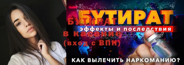 мдпв Краснослободск