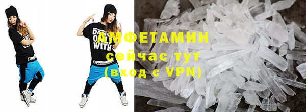 мдпв Краснослободск