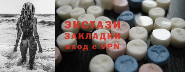мдпв Краснослободск