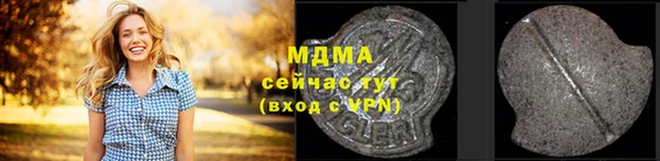мдпв Краснослободск