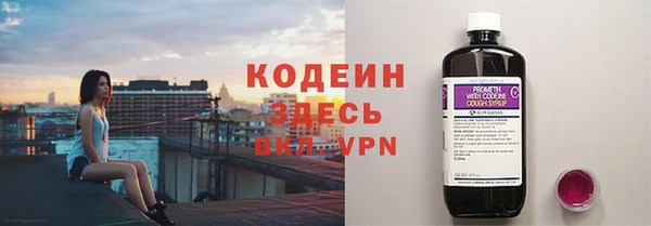 шишки Коряжма