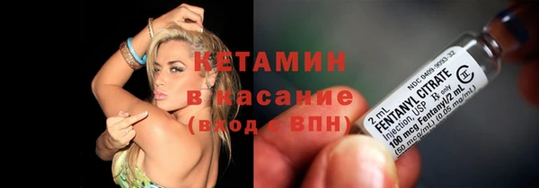 шишки Коряжма