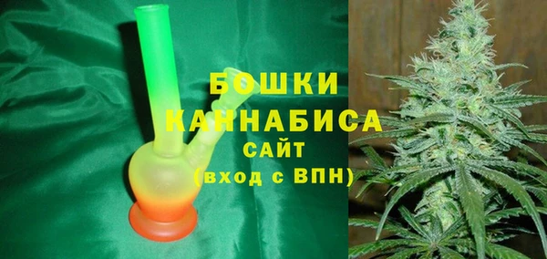 шишки Коряжма