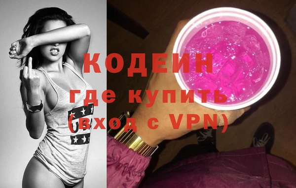 мдпв Краснослободск