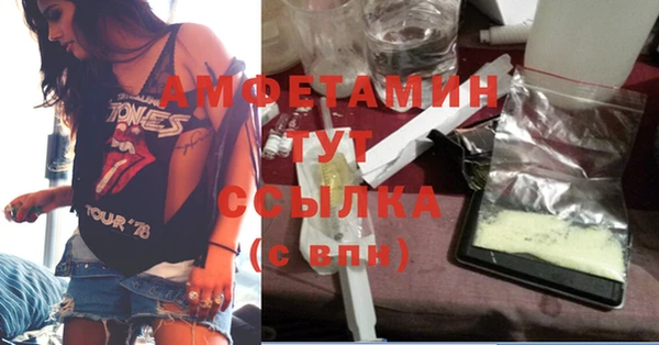 шишки Коряжма