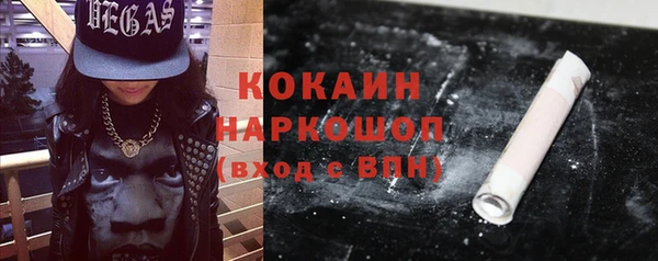 шишки Коряжма